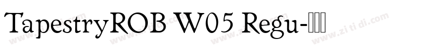 TapestryROB W05 Regu字体转换